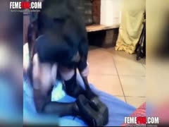 A woman wearing stockings gets satiated by an Xxx dog who energetically fucks her cunt.